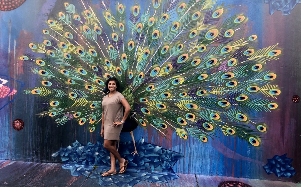 Jyoti peacock art