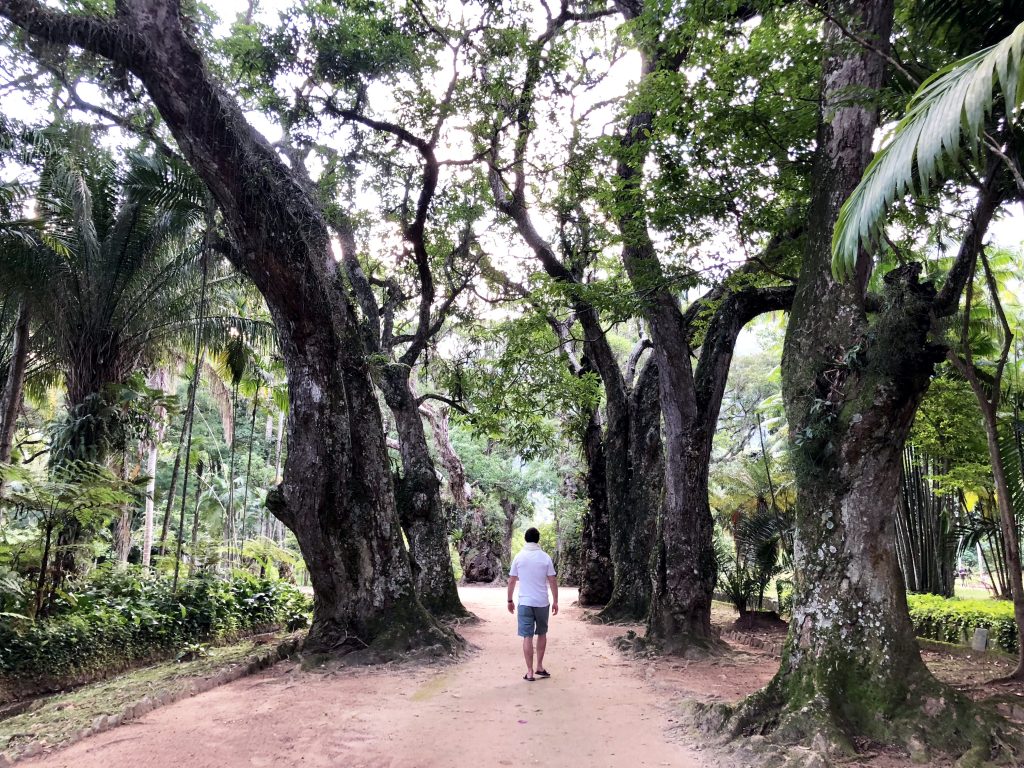 Damian botanical garden