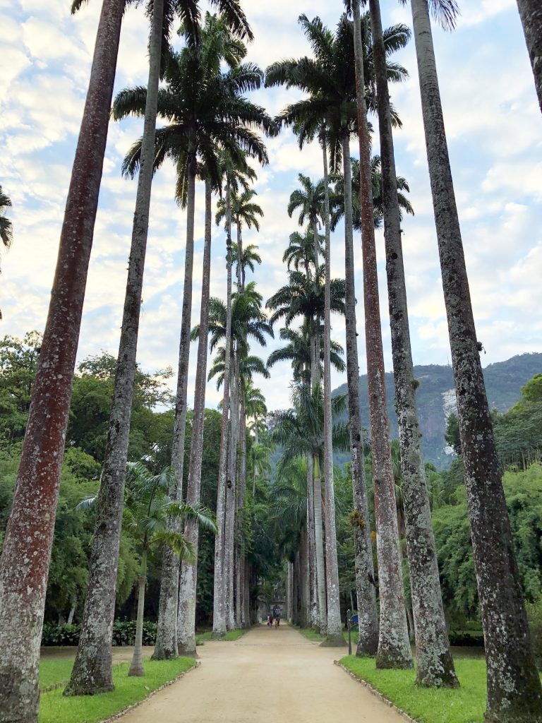 Botanical trees