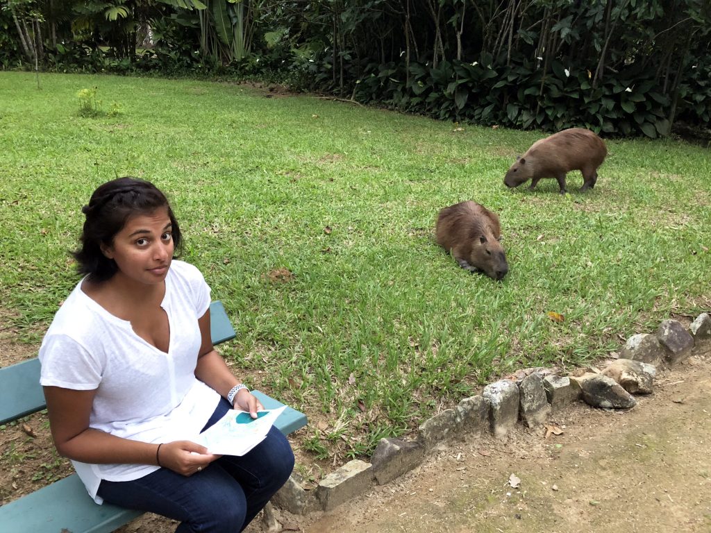 Jyoti and capybaras