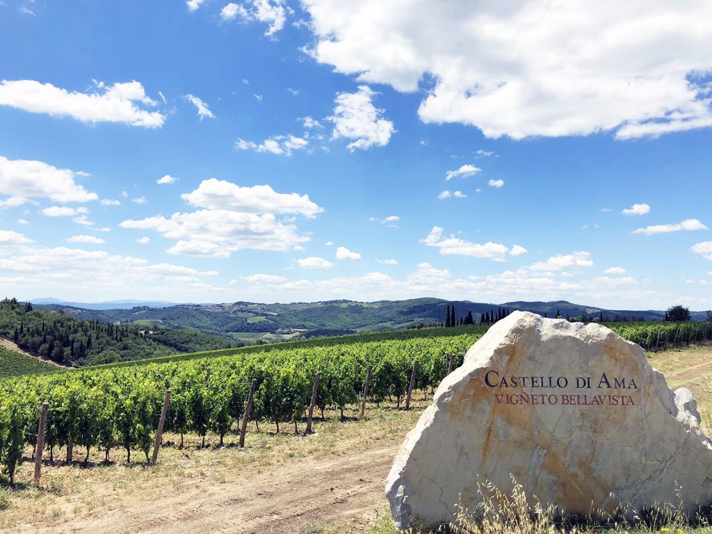 Chianti Tuscany agriturismo vineyard