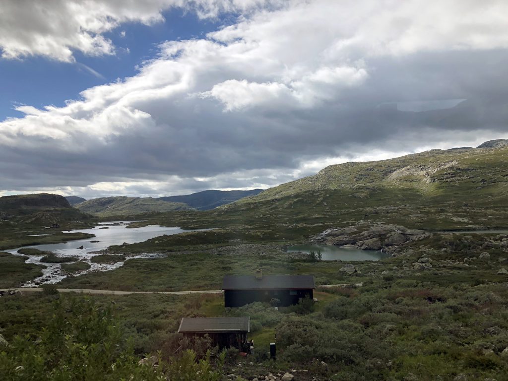 Hiking in Norway train view