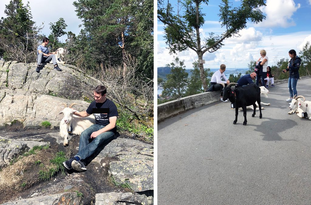 Mt Floyen Bergen
