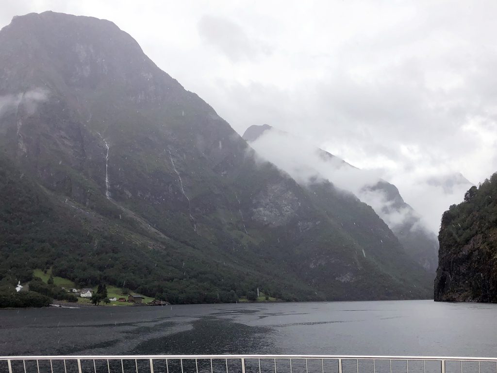 Naeroyfjord boat trip