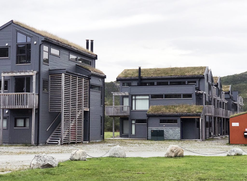 Oslo Norway houses with green roofs