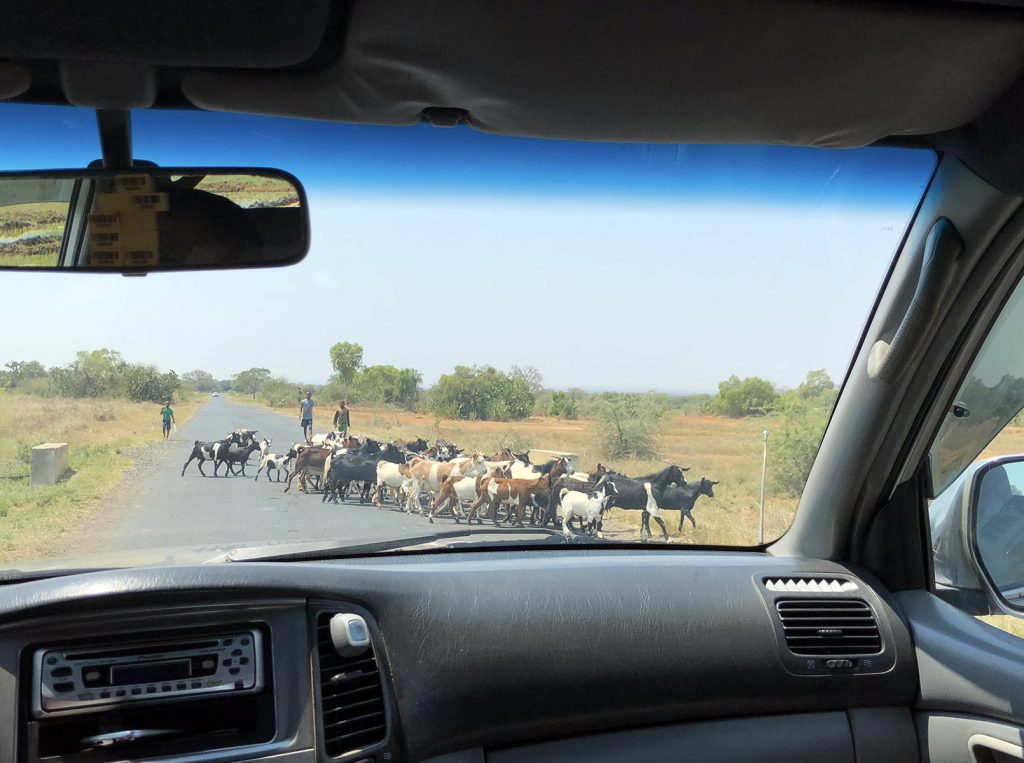 Isalo National Park