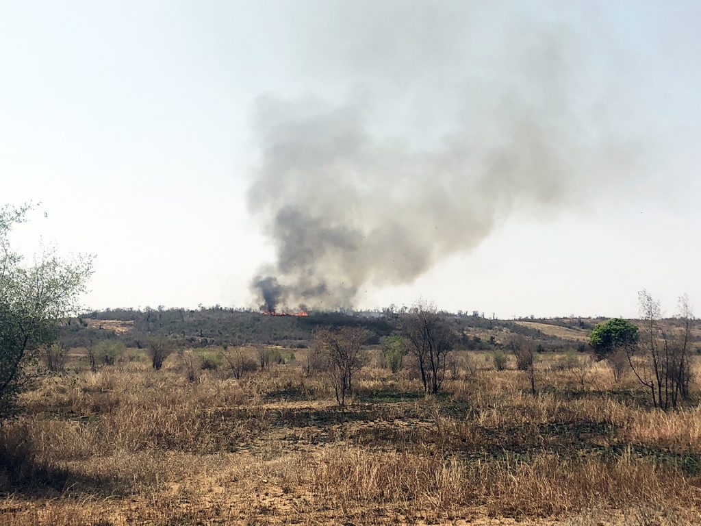 Isalo National Park