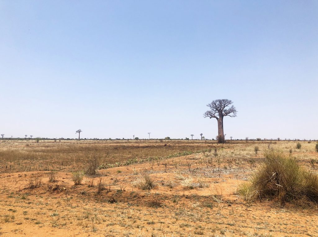 Isalo National Park