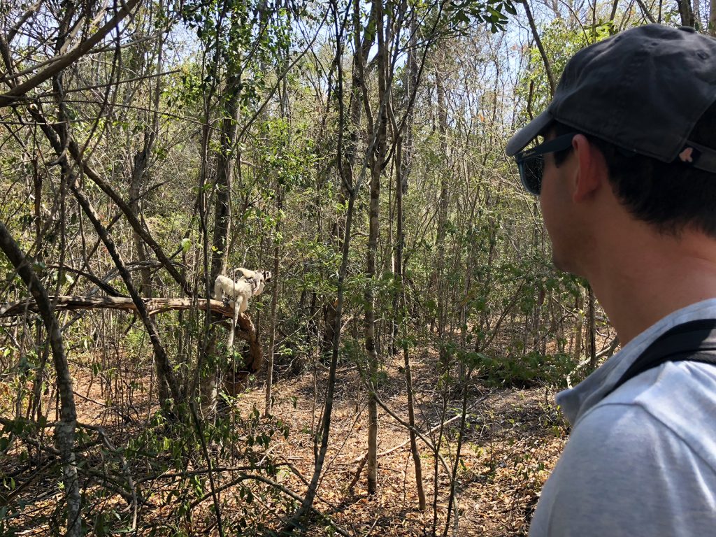 Zombitse National Park