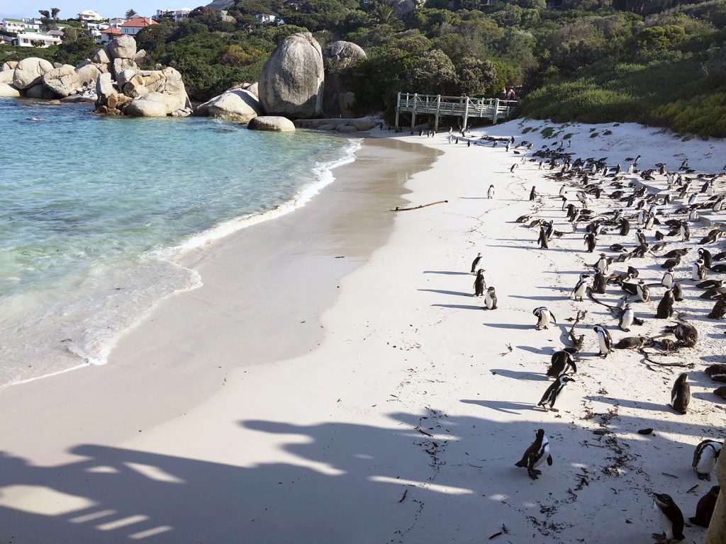 Boulders Beach