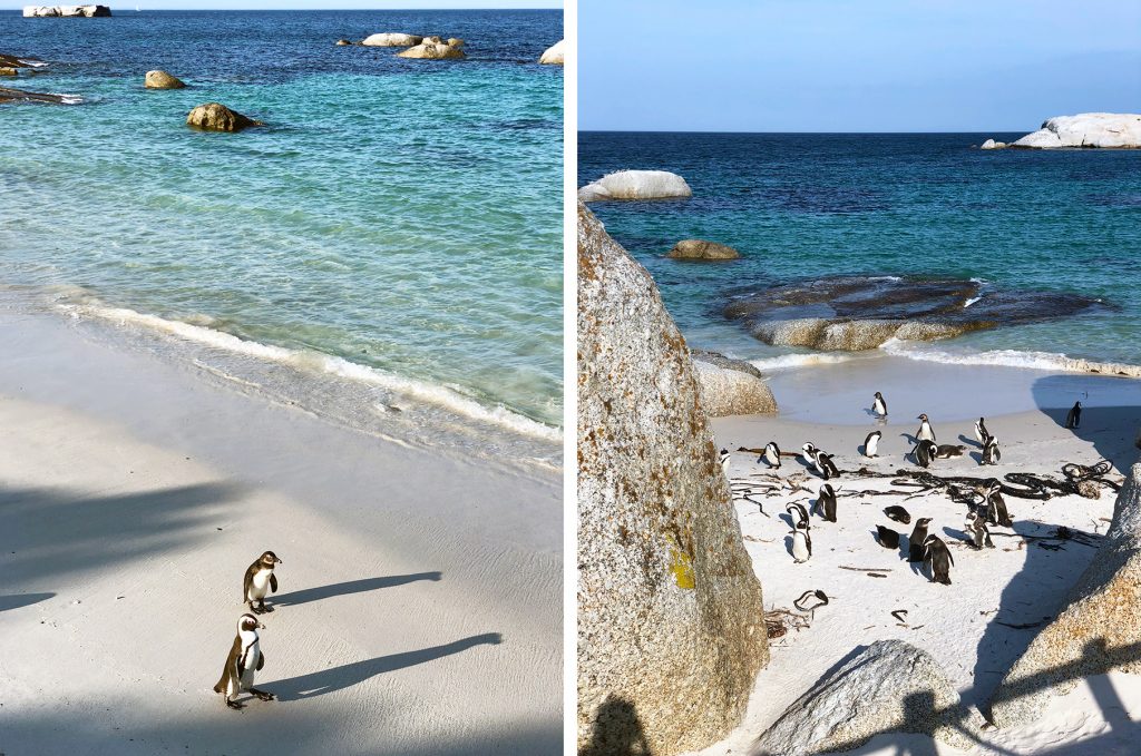 Boulders Beach
