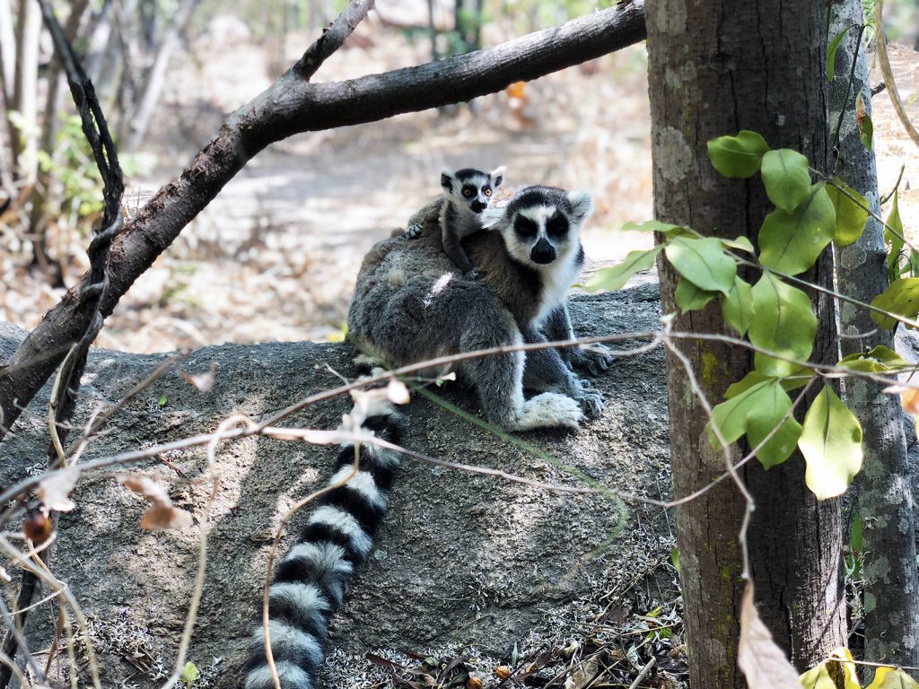 Anja Reserve