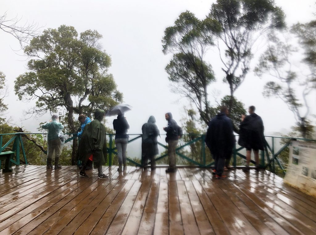 Ranomafana National Park