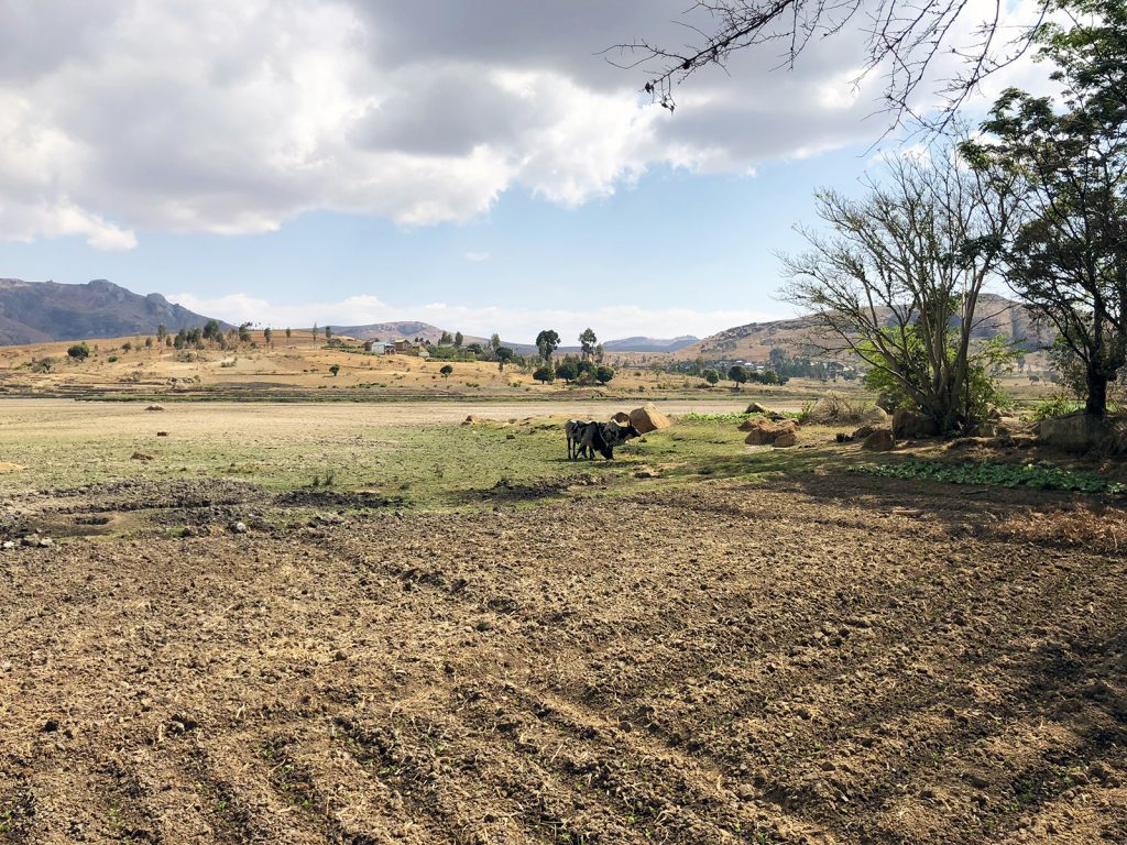 Anja Reserve